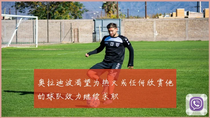 奥拉迪波渴望为热火或任何欣赏他的球队效力继续求职